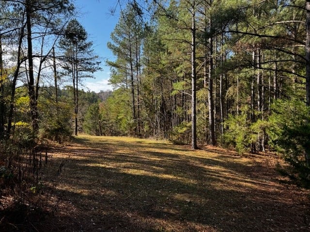 Premier Hunting Retreat on 80+ Acres in Halifax County, VA