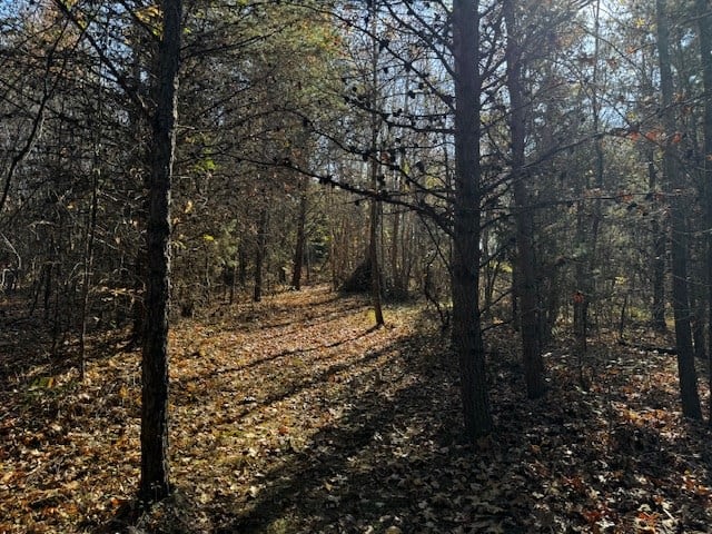 Premier Hunting Retreat on 80+ Acres in Halifax County, VA