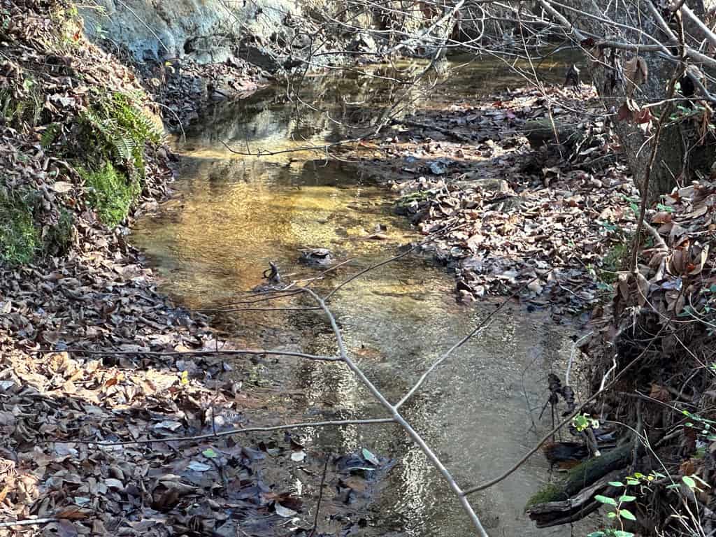 Pristine Pines: 54 Acres of Timber, Creeks & Wildlife Haven!