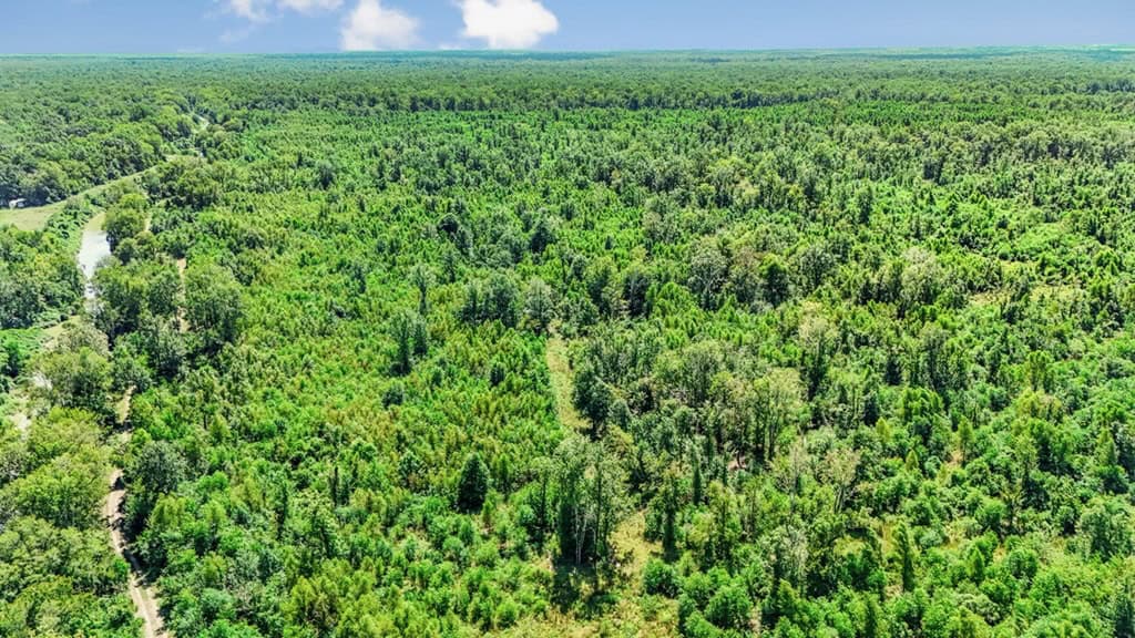 196 Acre Sportsman’s Paradise Pointe Coupee Parish, LA
