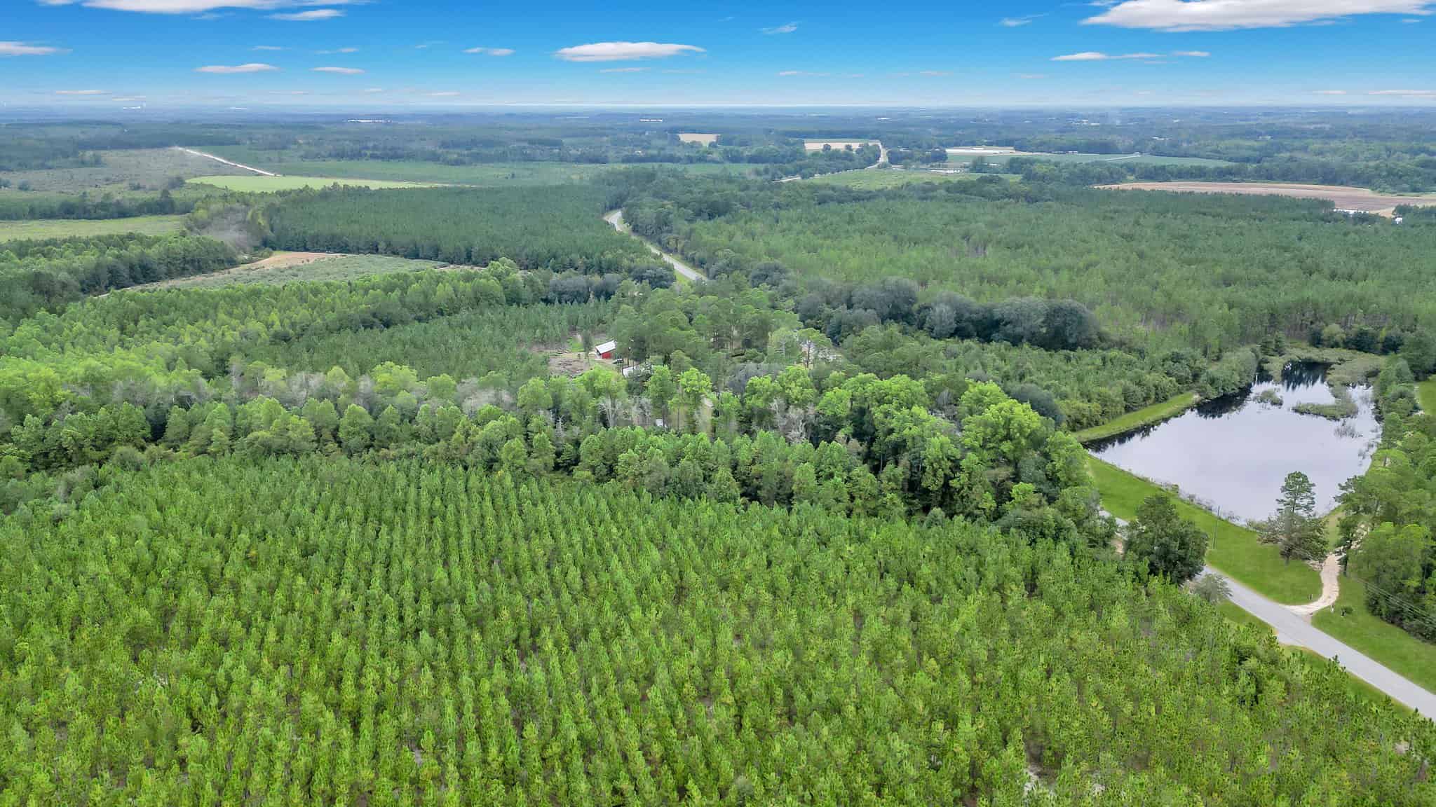 Woodpecker Trail Olive Farm for Sale