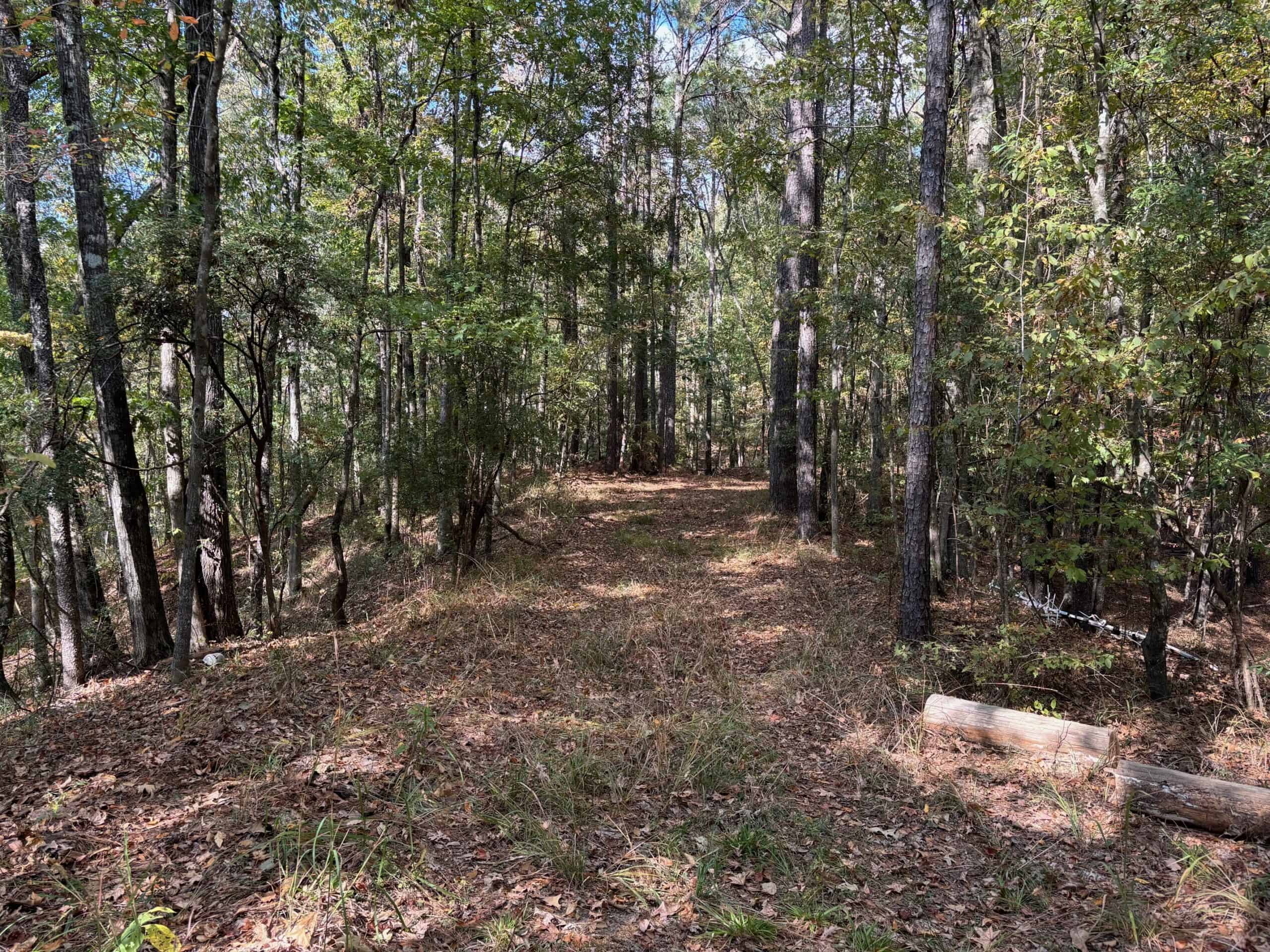 175 Acres Hunting and Timberland for Sale Franklin Co. MS