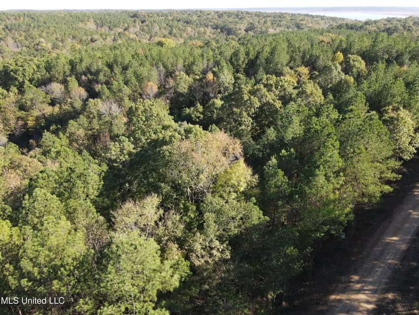 Carver Point Timber Tract in Grenada Co at Grenada Lake