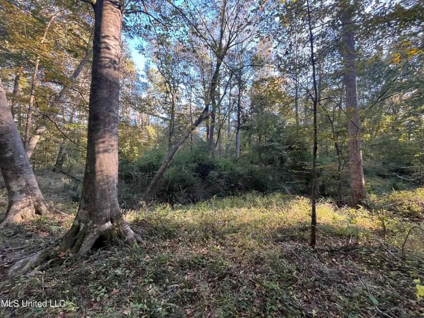 Great Hunting Tract in Bolton, MS for Sale