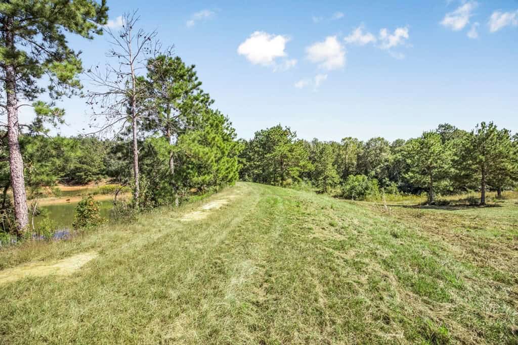 Affordable Land for Sale in Pike County, MS