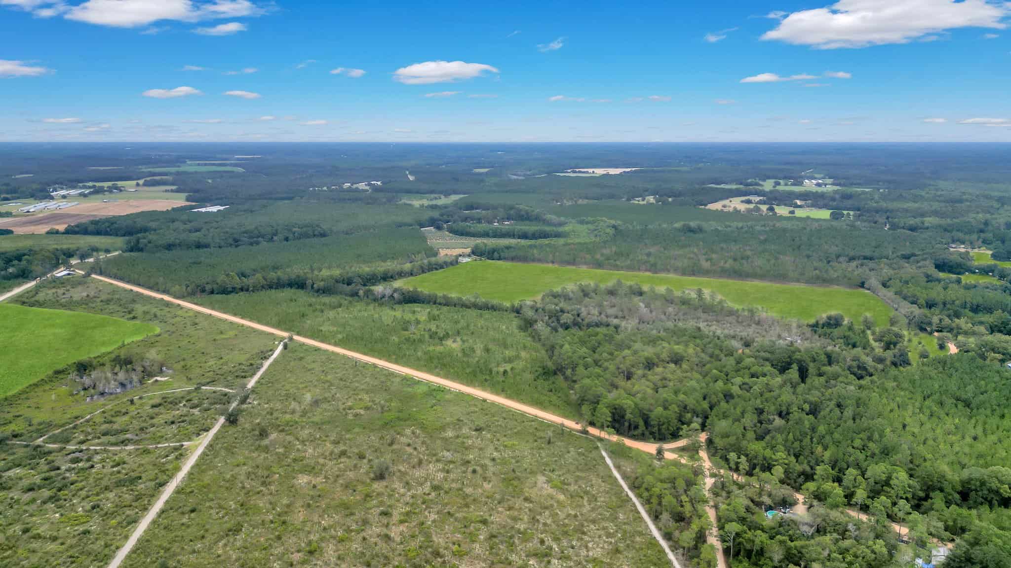 Woodpecker Trail Olive Farm for Sale