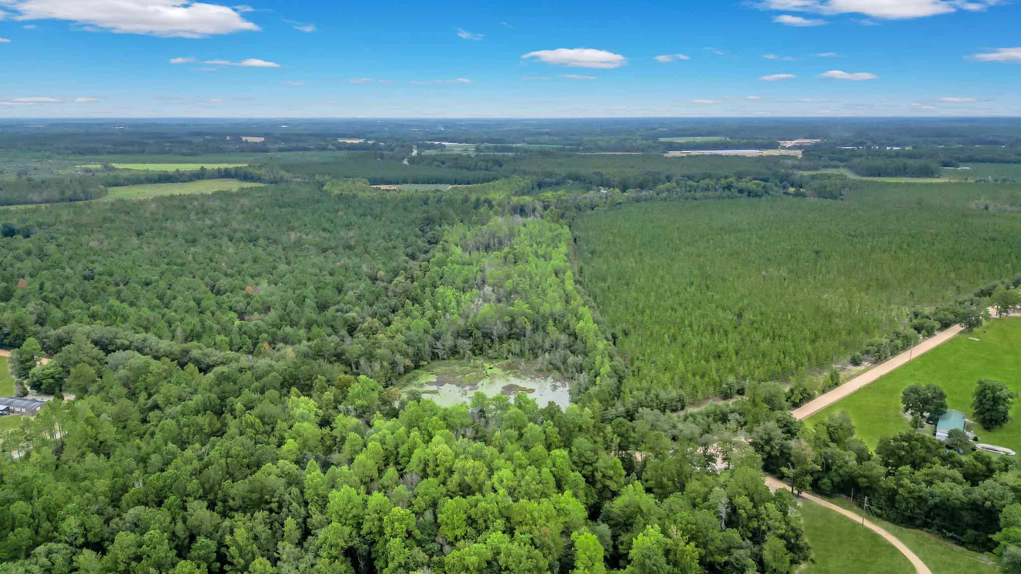 Woodpecker Trail Olive Farm for Sale