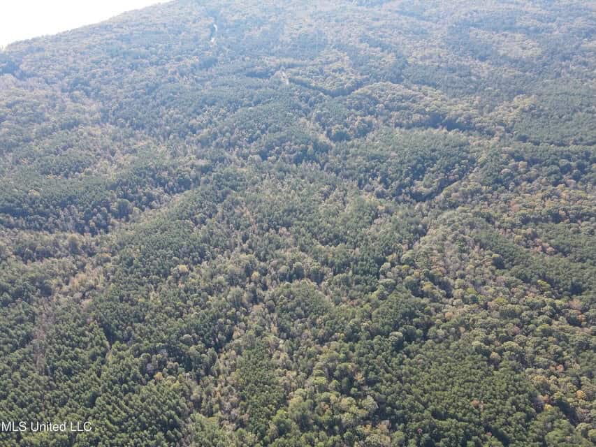 Carver Point Timber Tract in Grenada Co at Grenada Lake