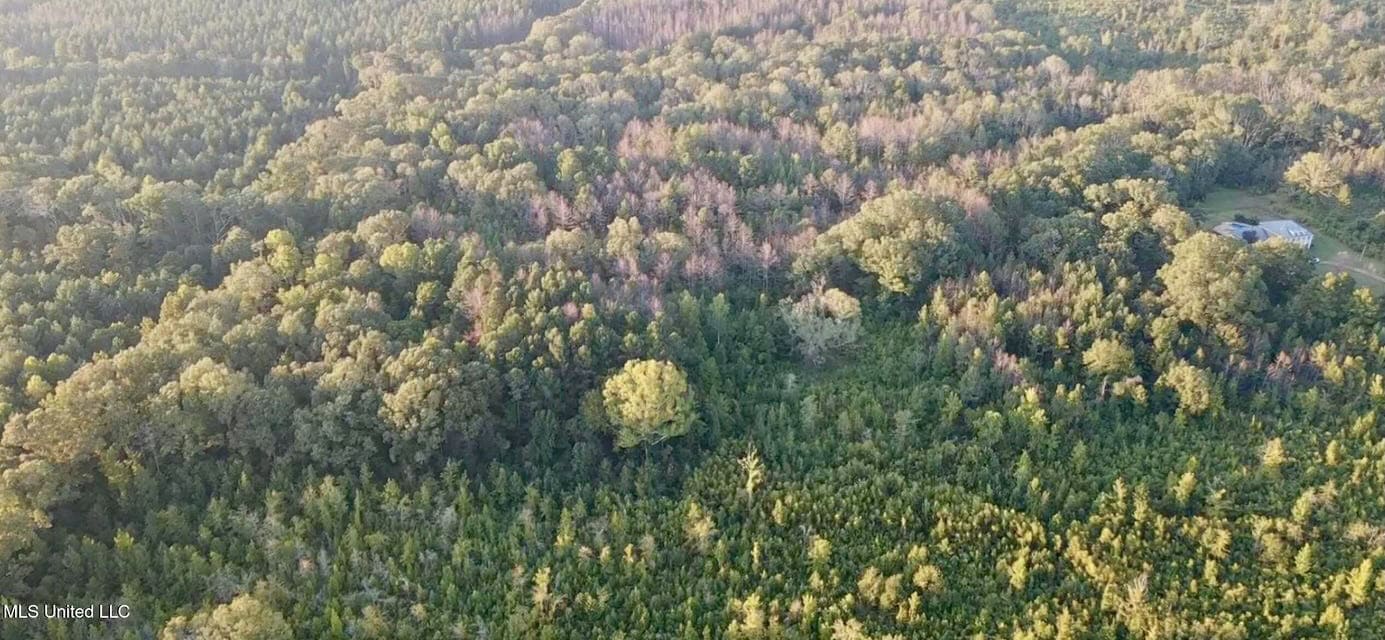 100 Acres of Prime Development or Country Homesite