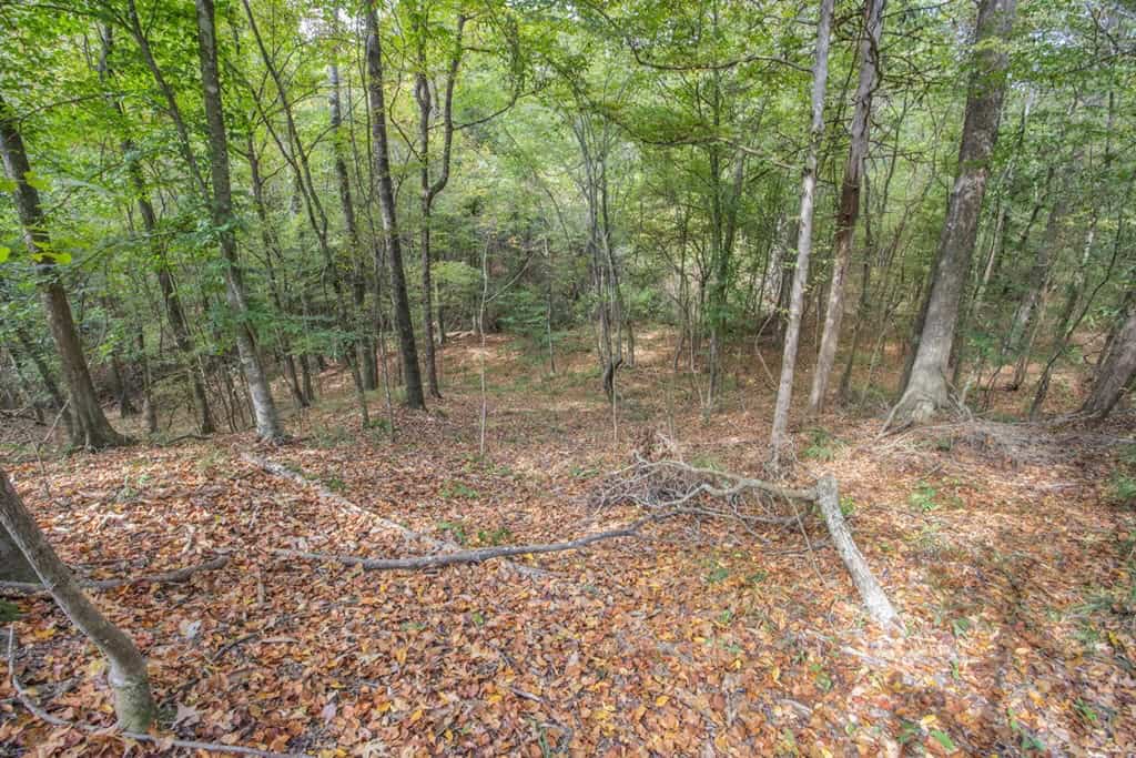 Legacy Property for Sale in Woodville, MS