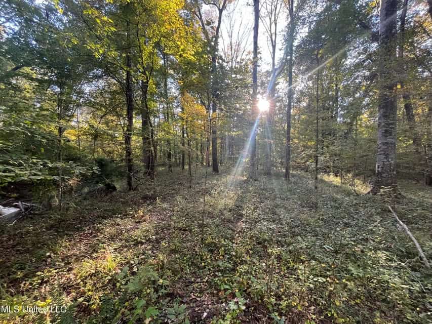 Great Hunting Tract in Bolton, MS for Sale