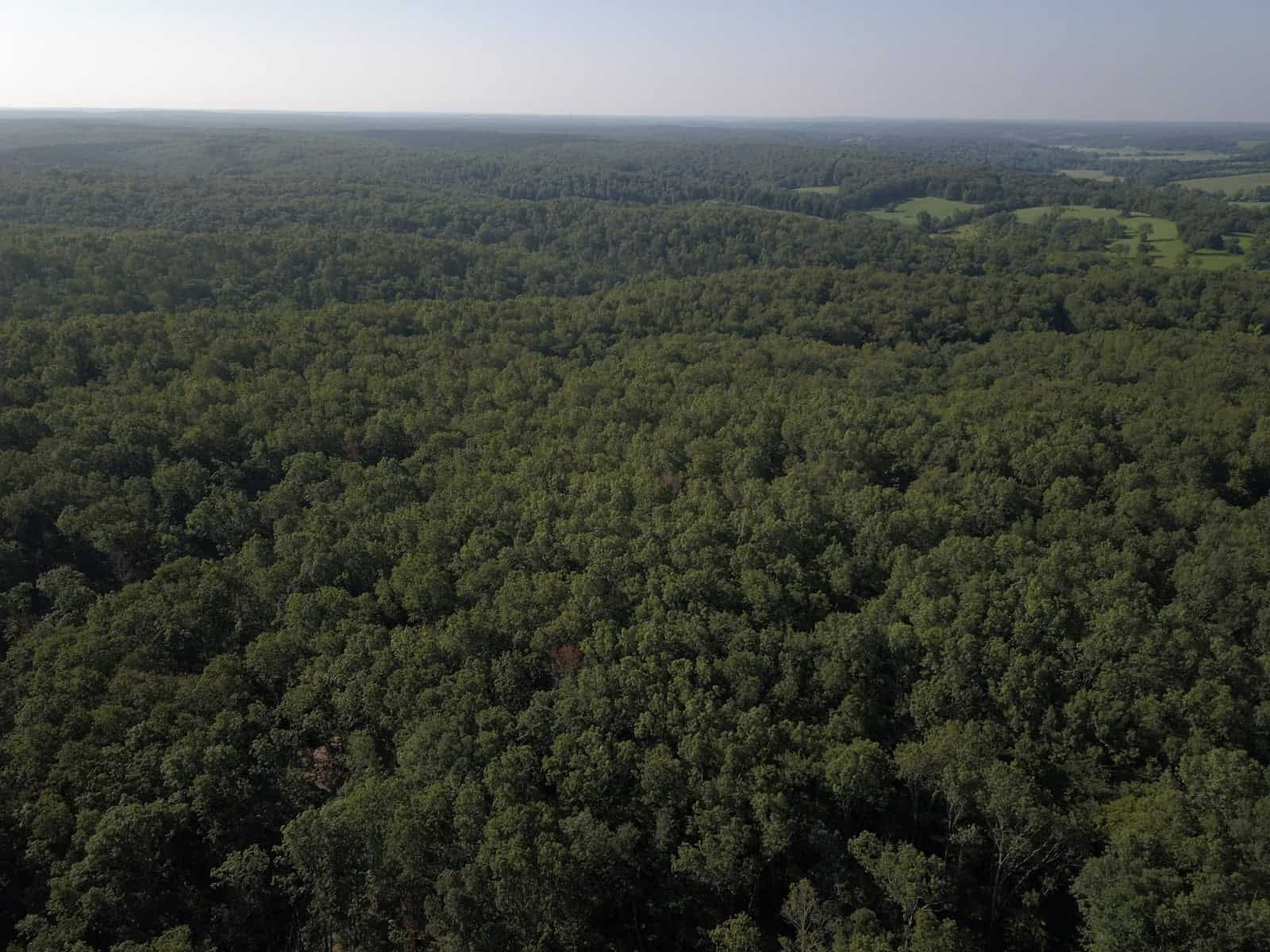 85 +/- acre property nestled on CR 4270 in Salem, MO!