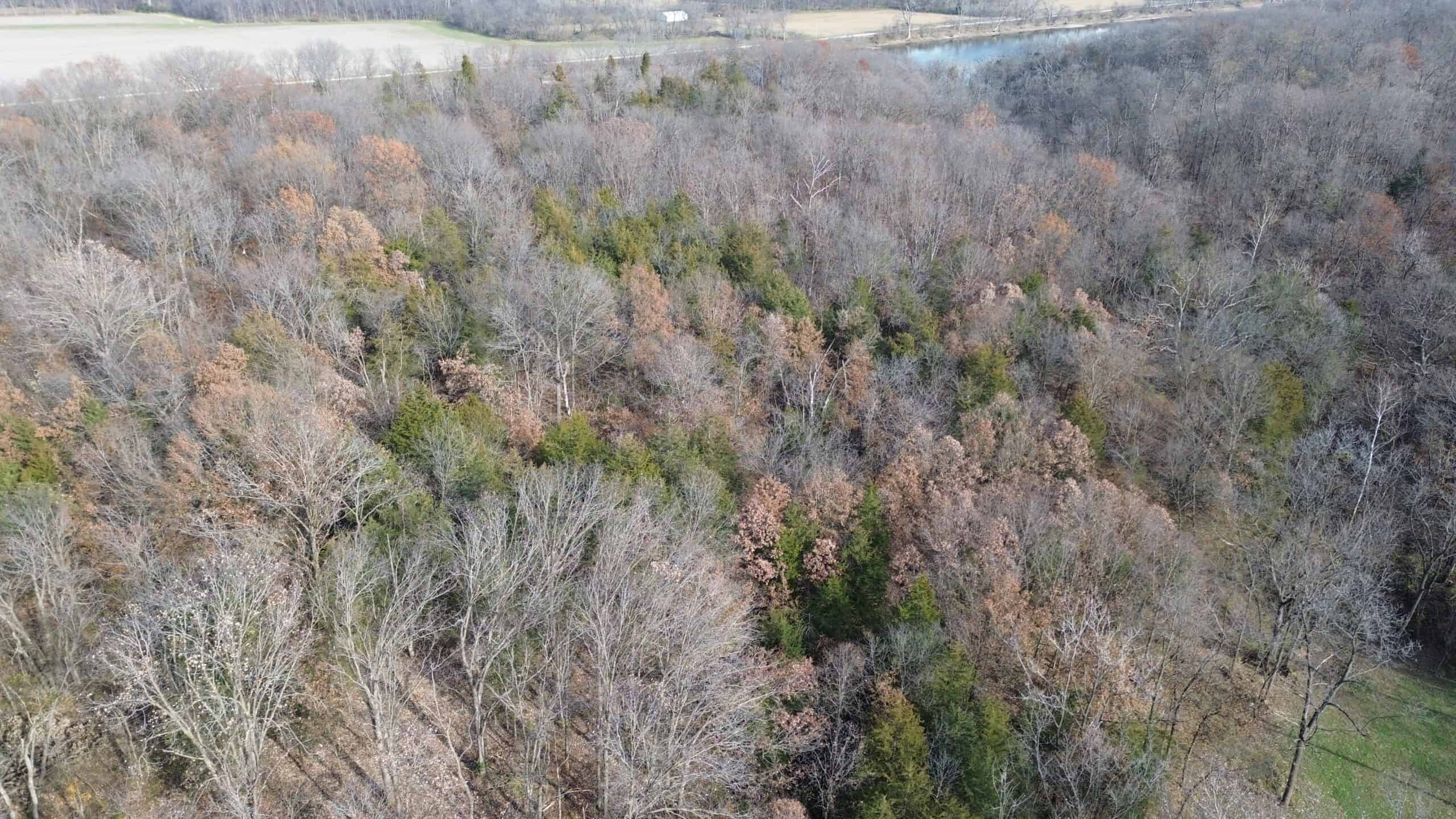 40 acres Bentonsport, IA FOR SALE!