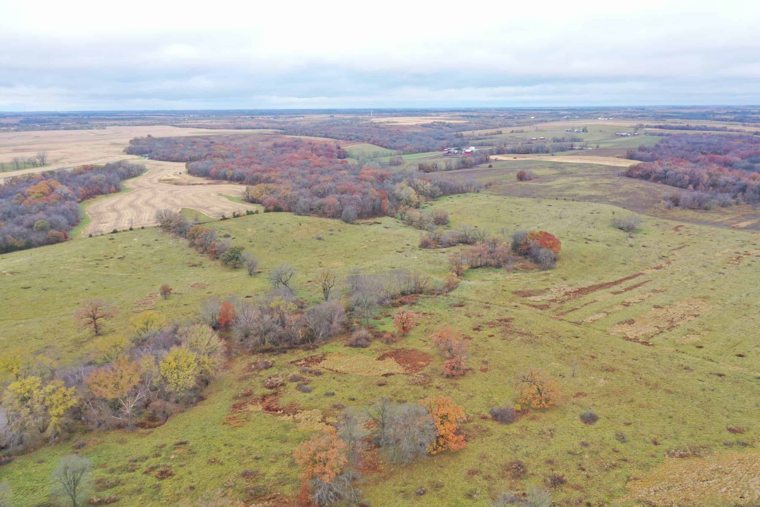 Tillable Tract For Sale in Harrison County