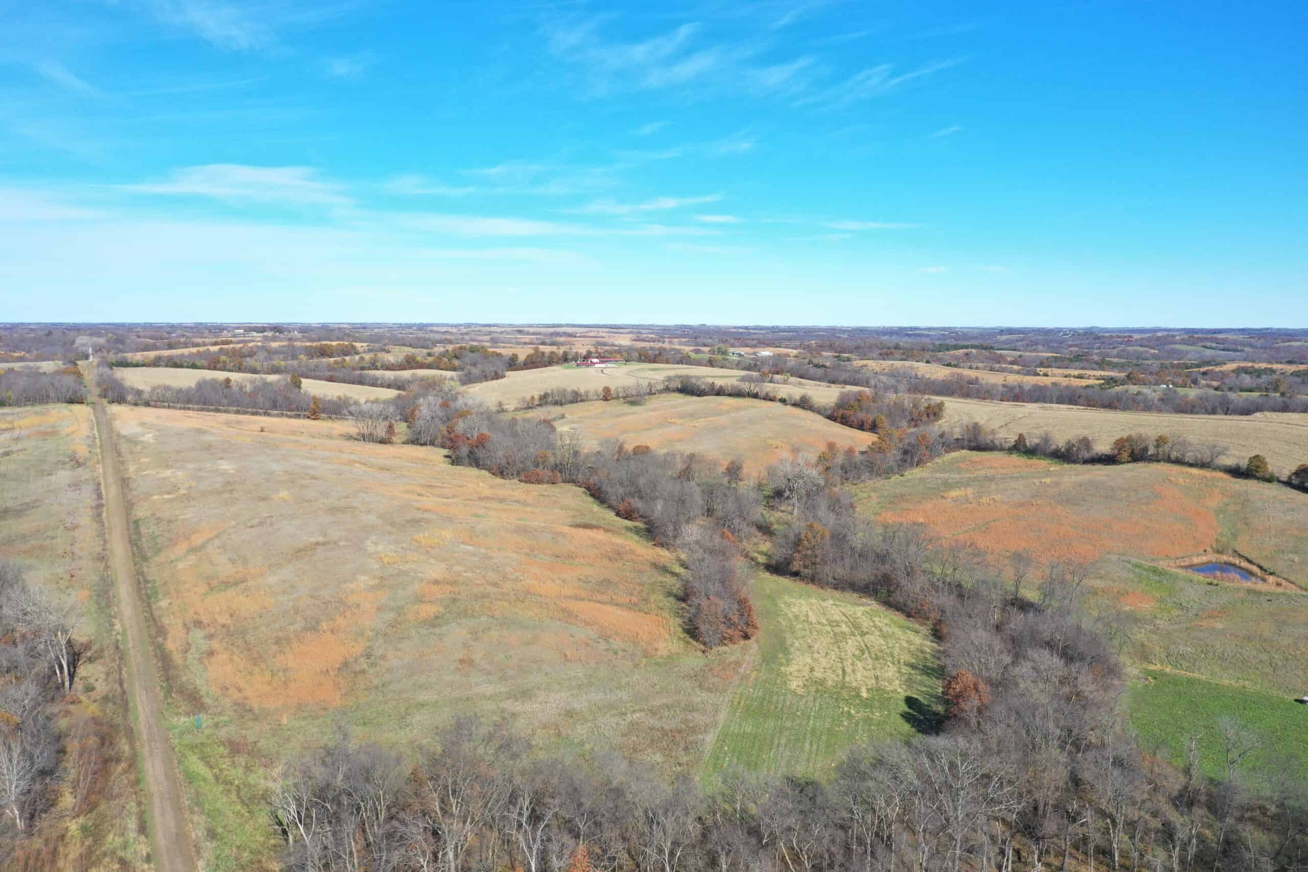 Hunting in Worth County – 43 acres m/l