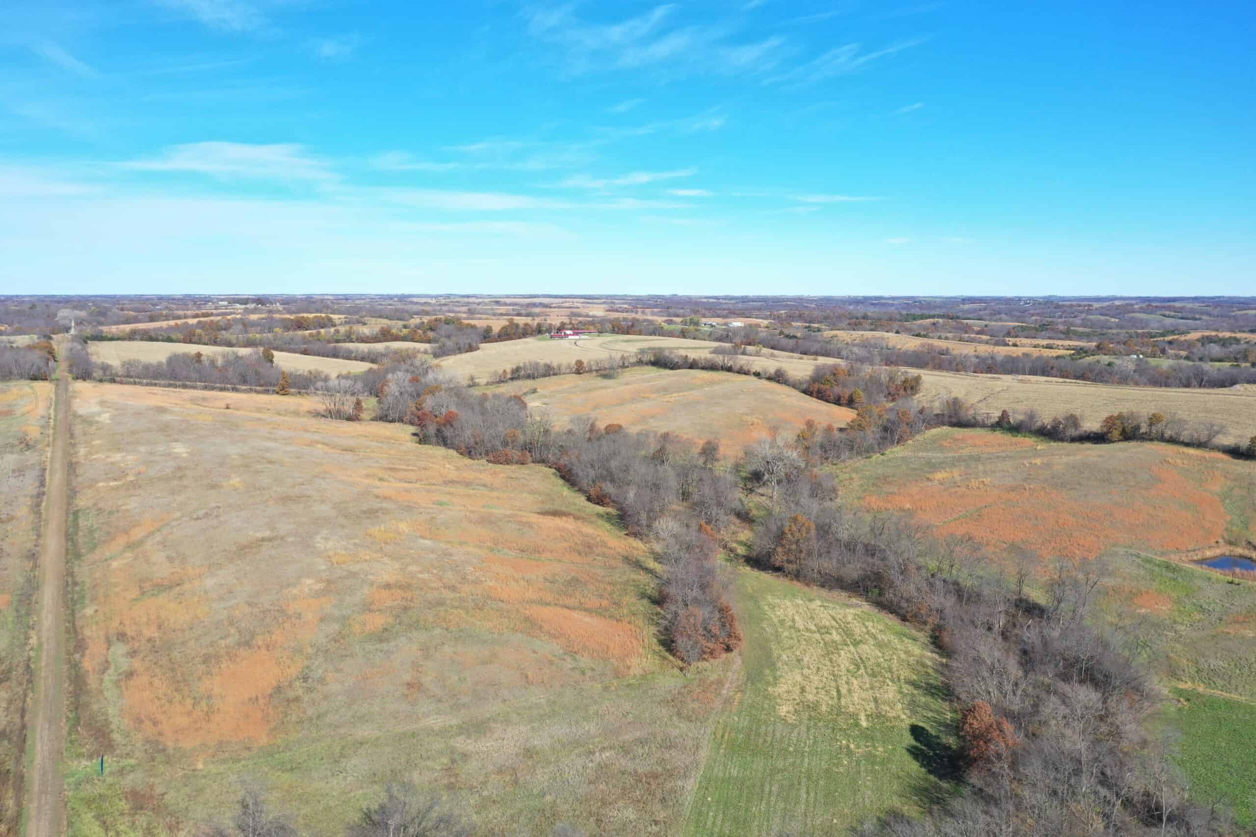 Hunting in Worth County – 43 acres m/l