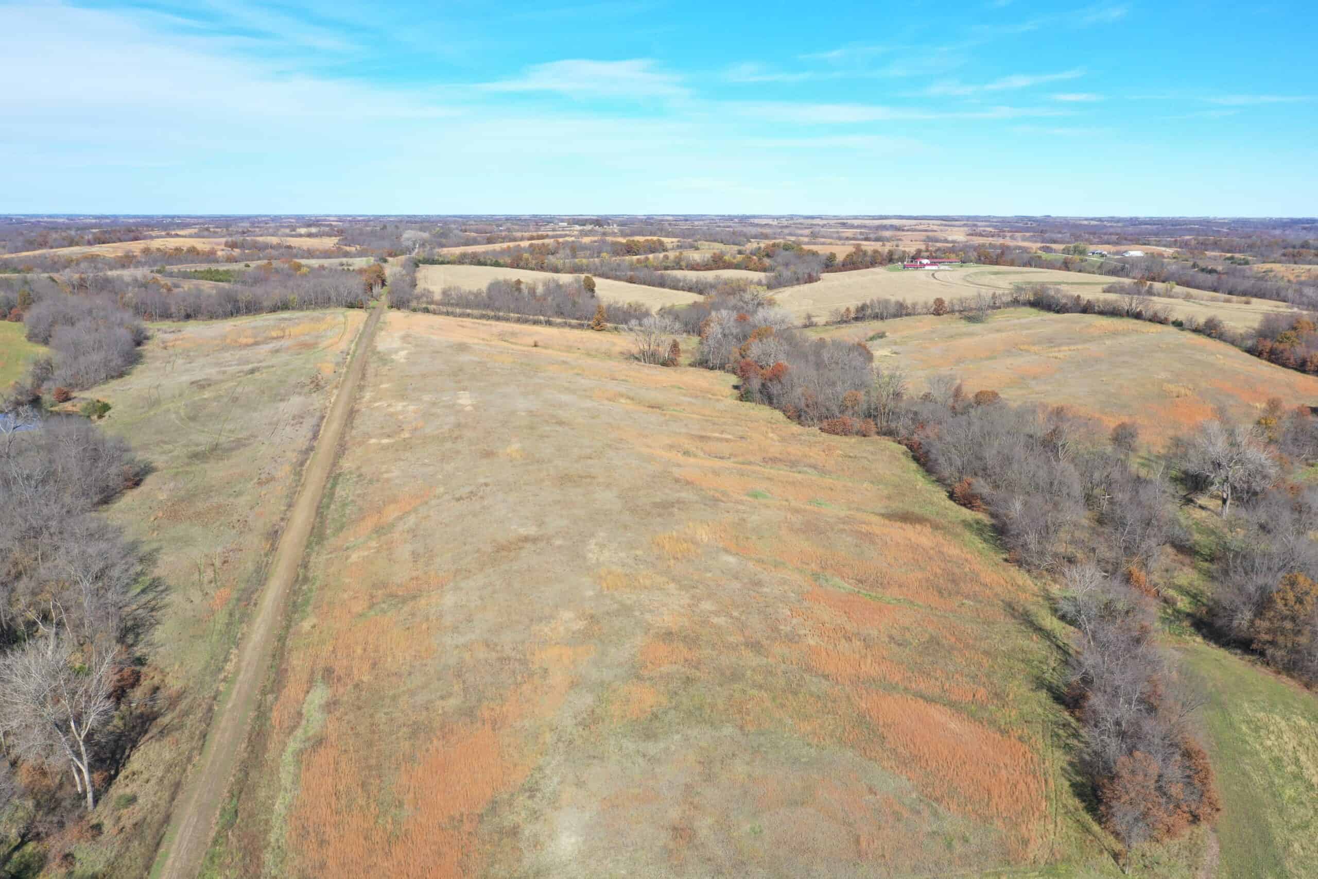 Hunting in Worth County – 43 acres m/l