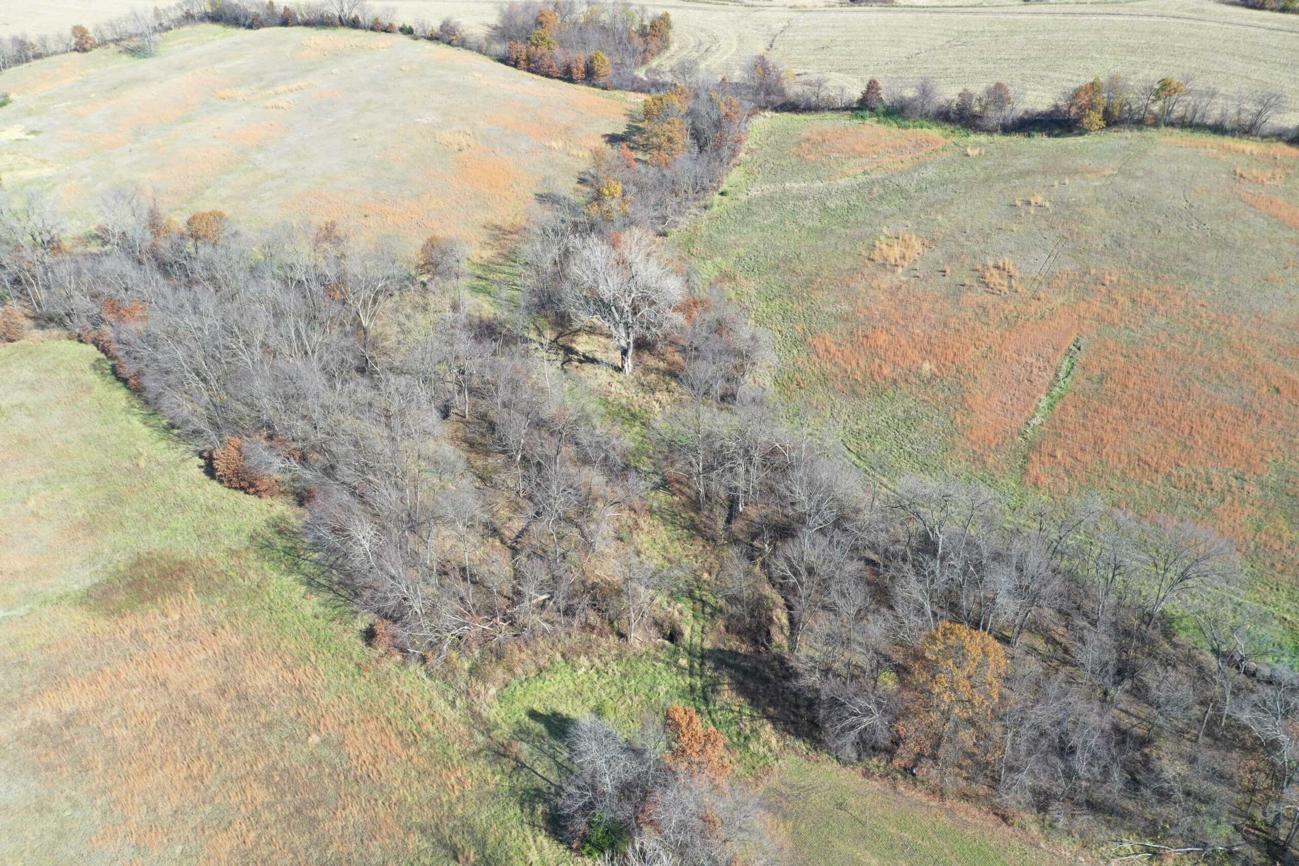 Hunting in Worth County – 43 acres m/l