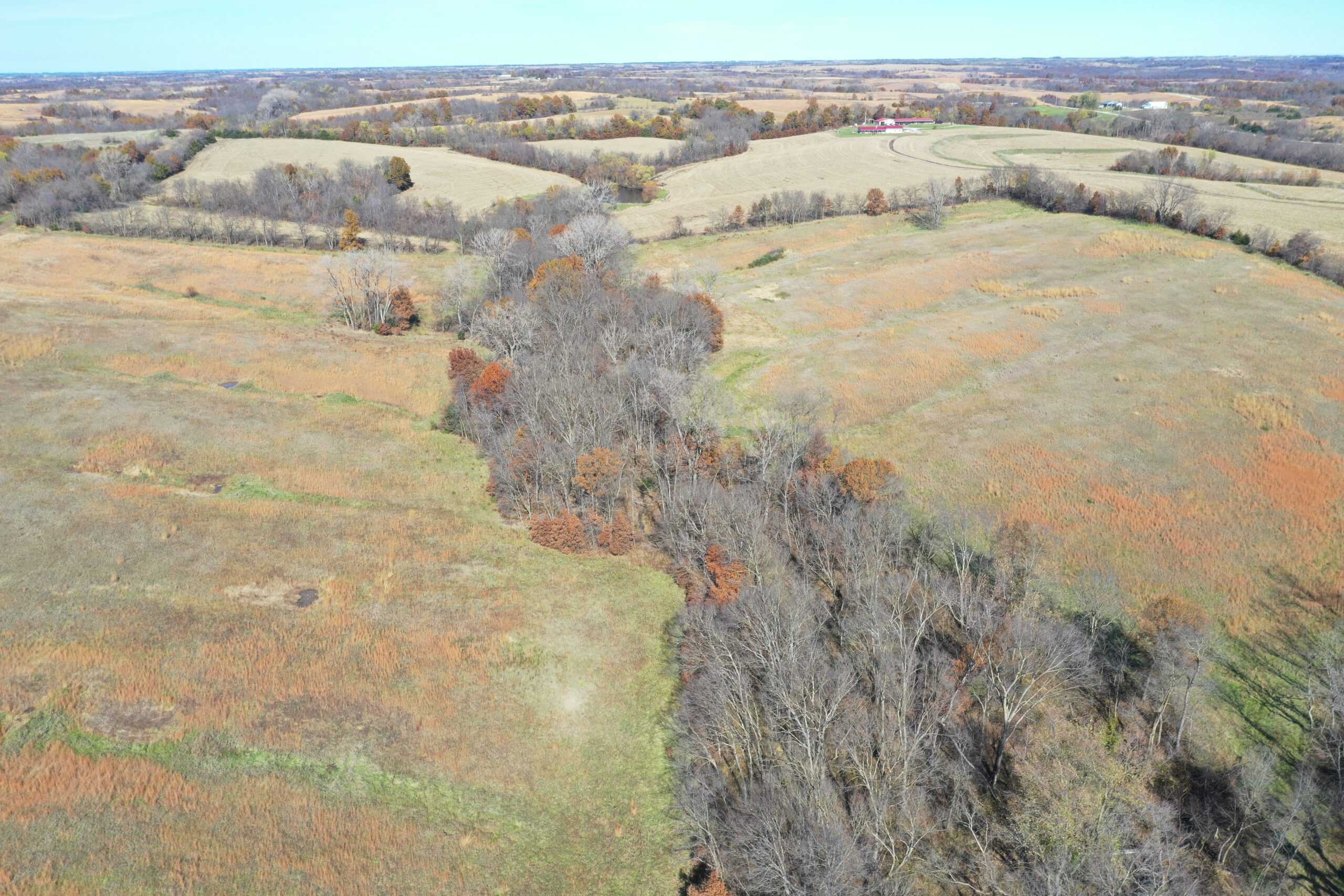 Hunting in Worth County – 43 acres m/l