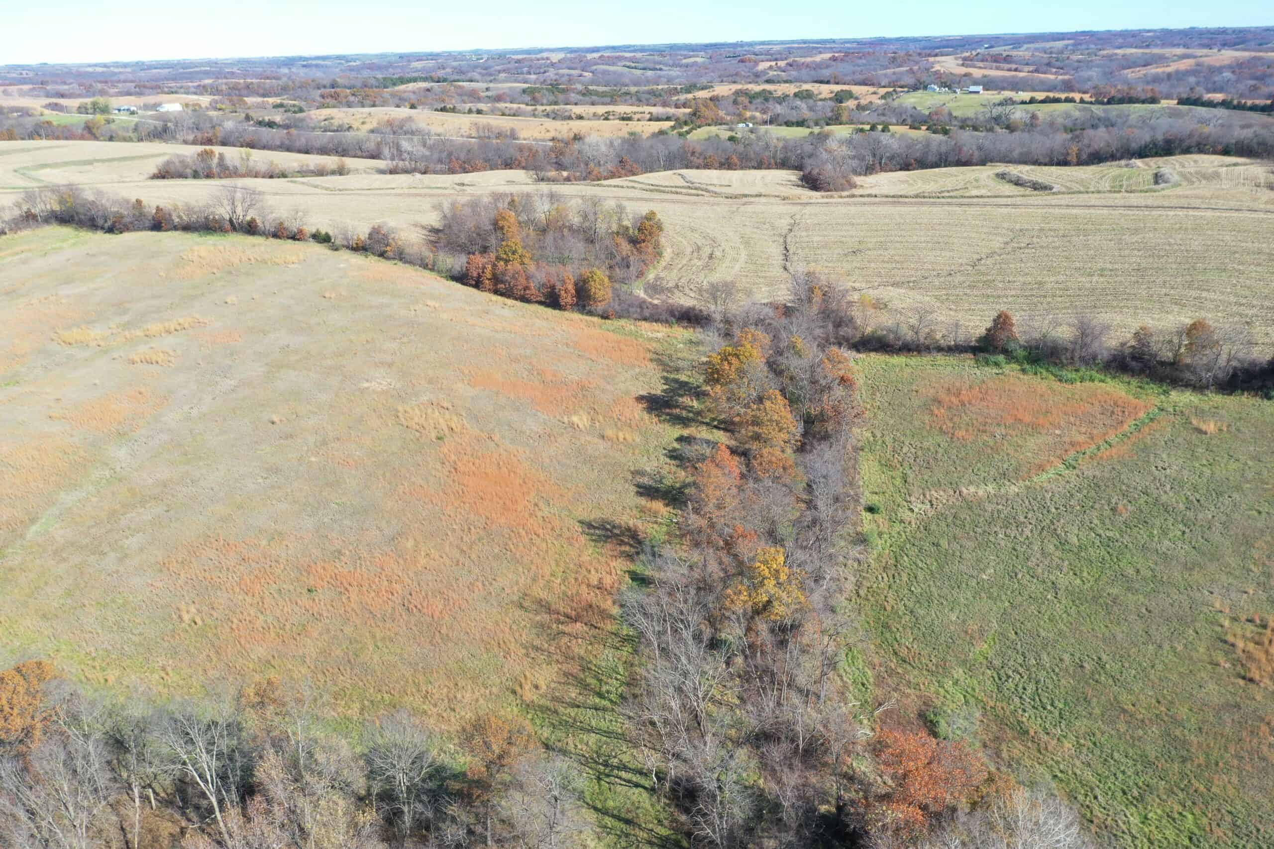 Hunting in Worth County – 43 acres m/l