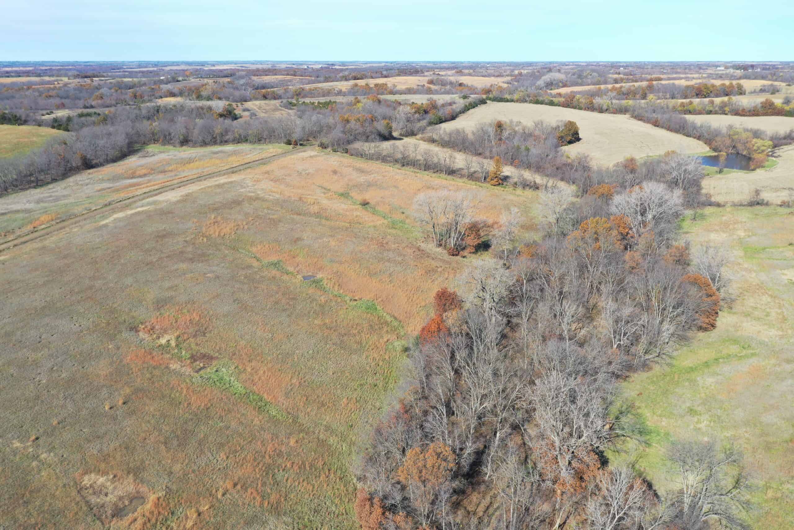 Hunting in Worth County – 43 acres m/l