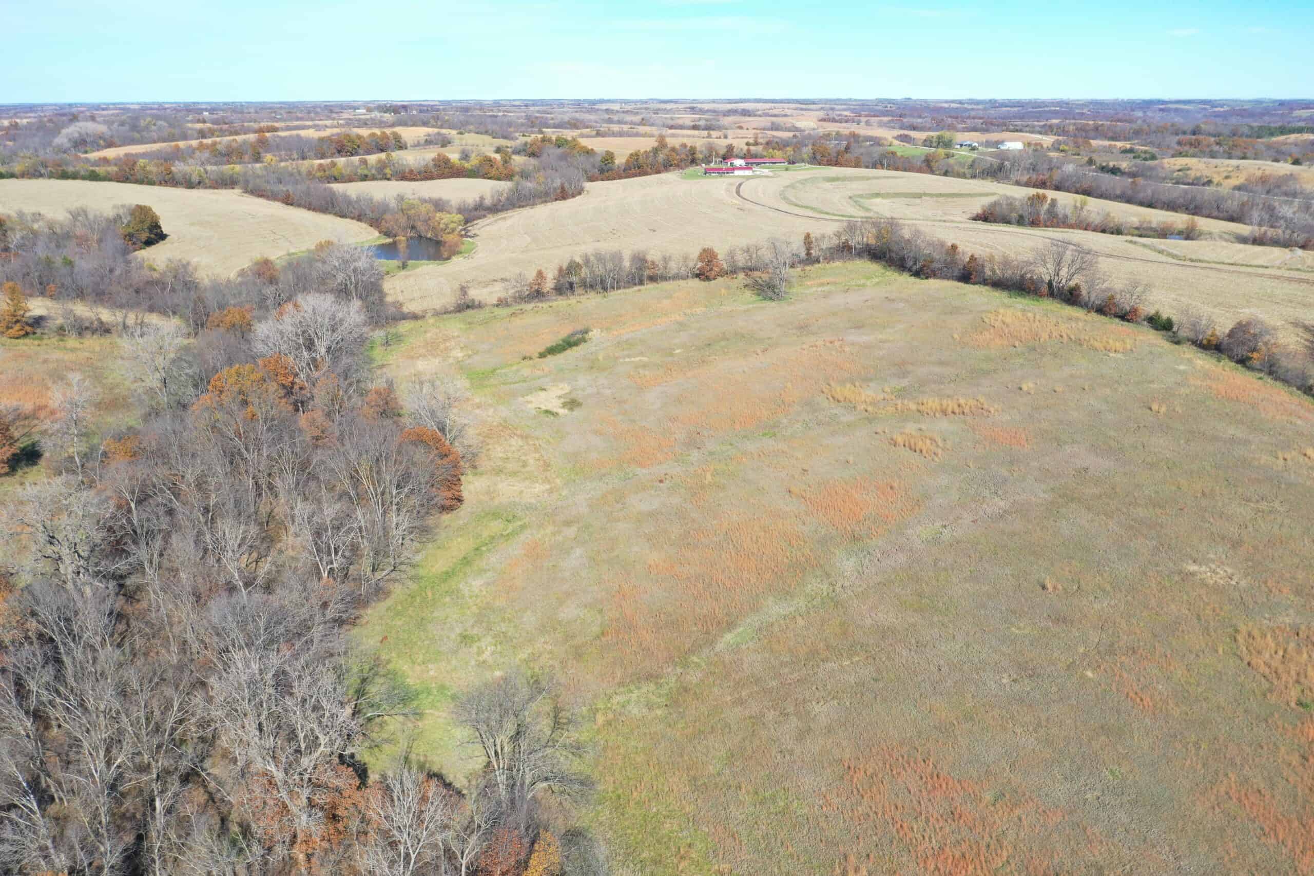 Hunting in Worth County – 43 acres m/l