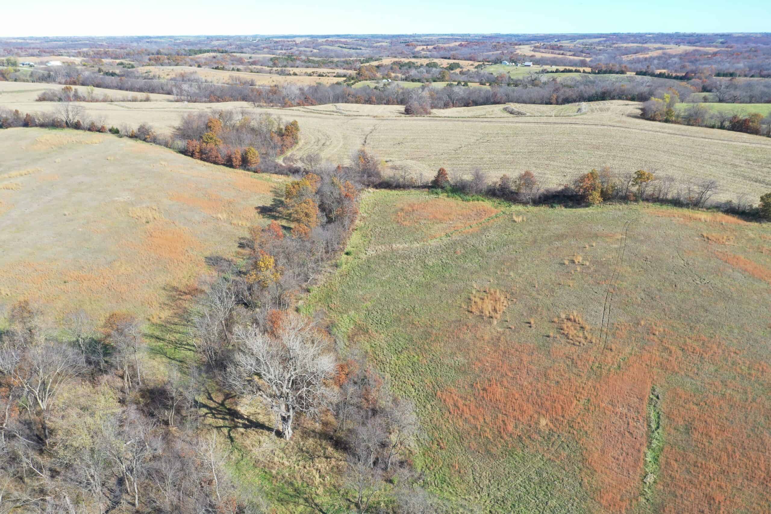 Hunting in Worth County – 43 acres m/l