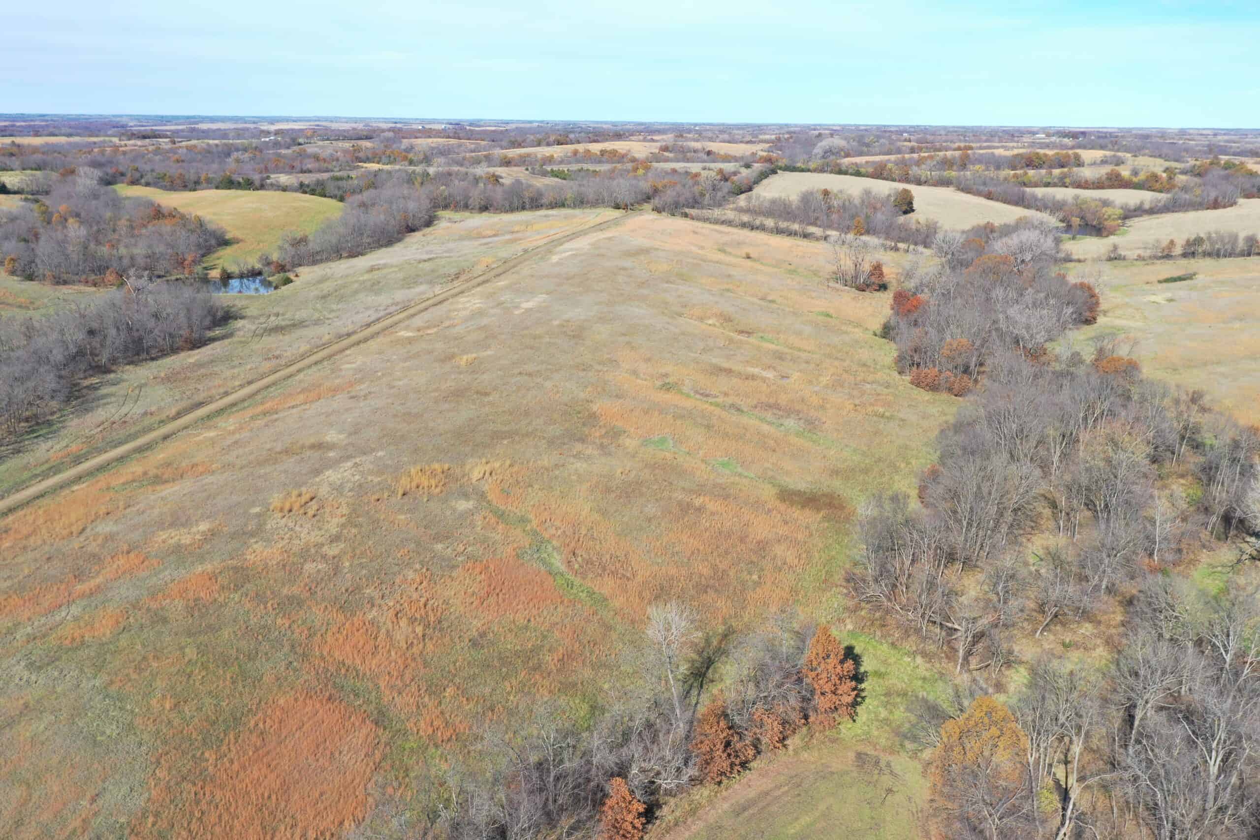 Hunting in Worth County – 43 acres m/l