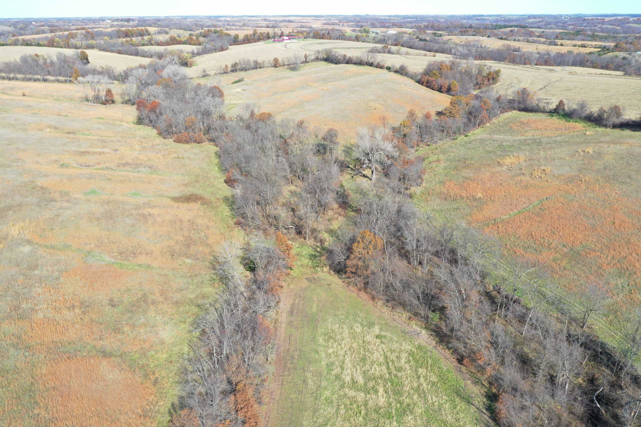 Hunting in Worth County – 43 acres m/l