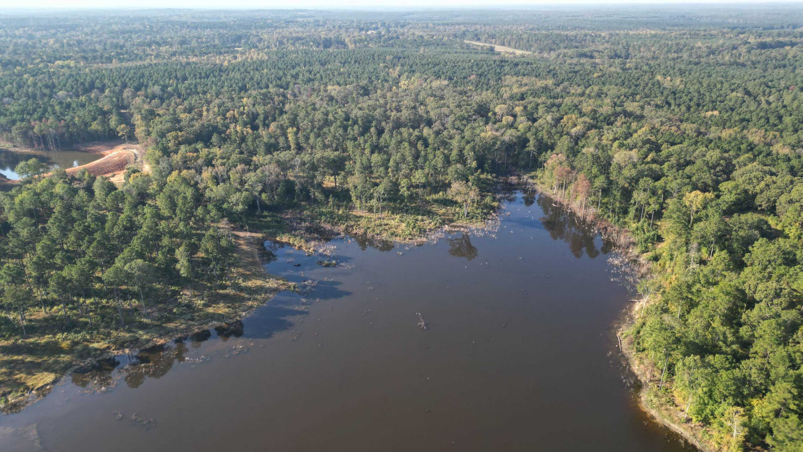 Texas Ranch For Sale With Private Lake In Cass County