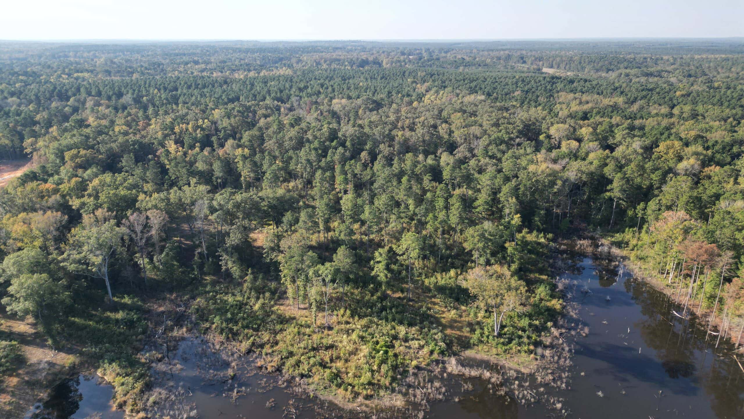 Texas Ranch For Sale With Private Lake In Cass County