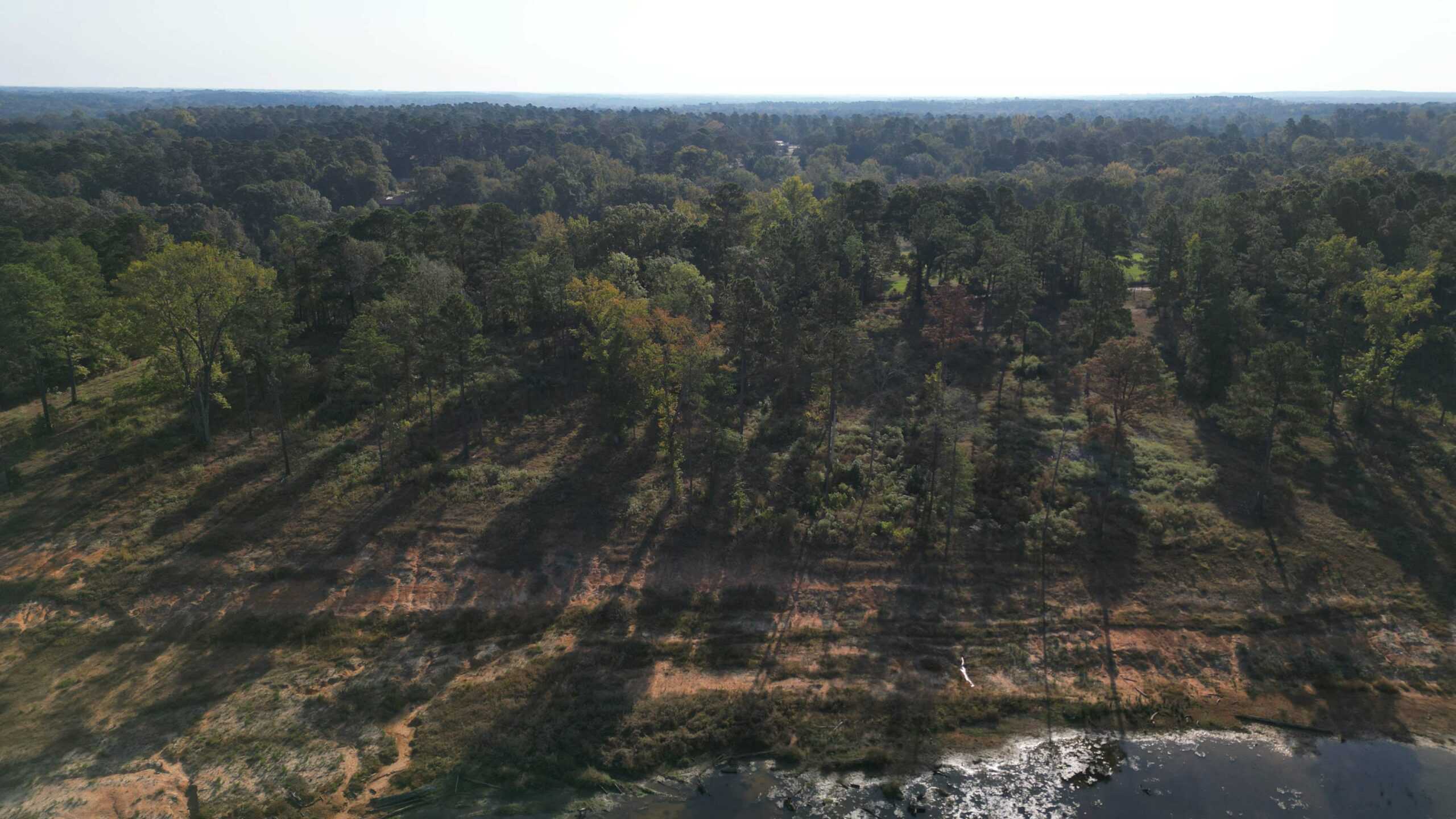Texas Ranch For Sale With Private Lake In Cass County