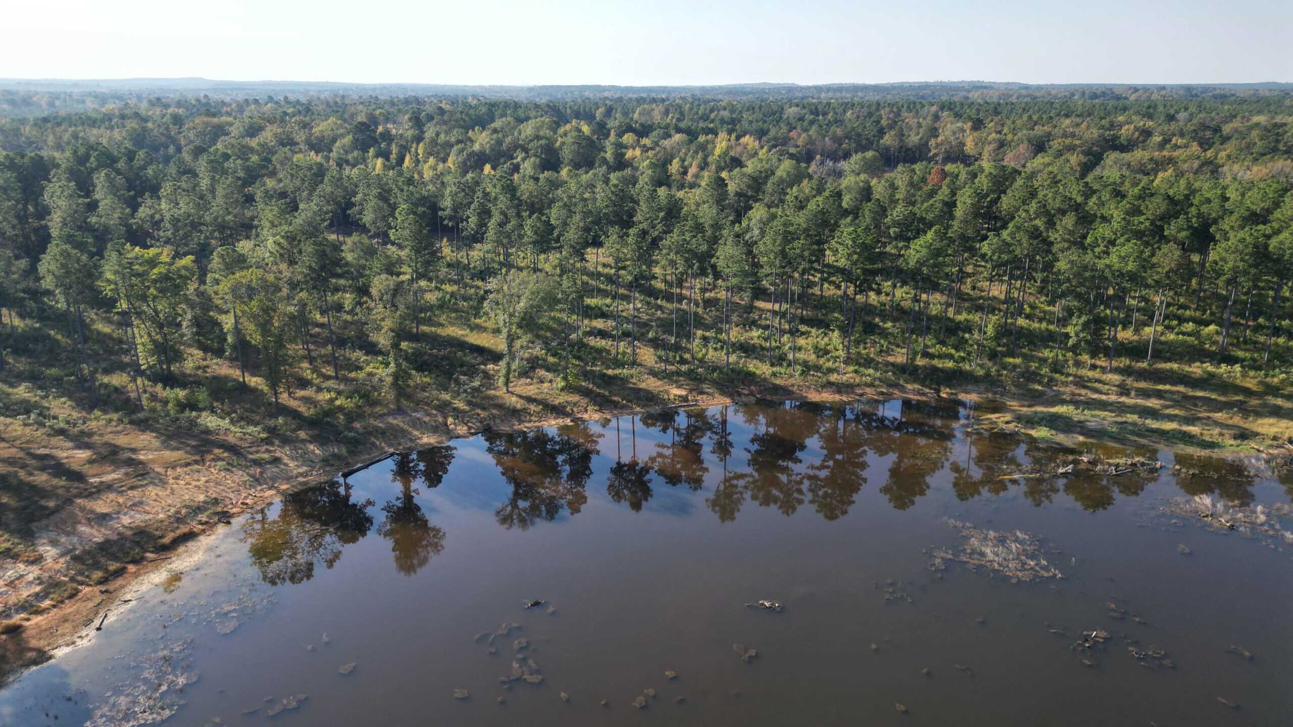 Texas Ranch For Sale With Private Lake In Cass County