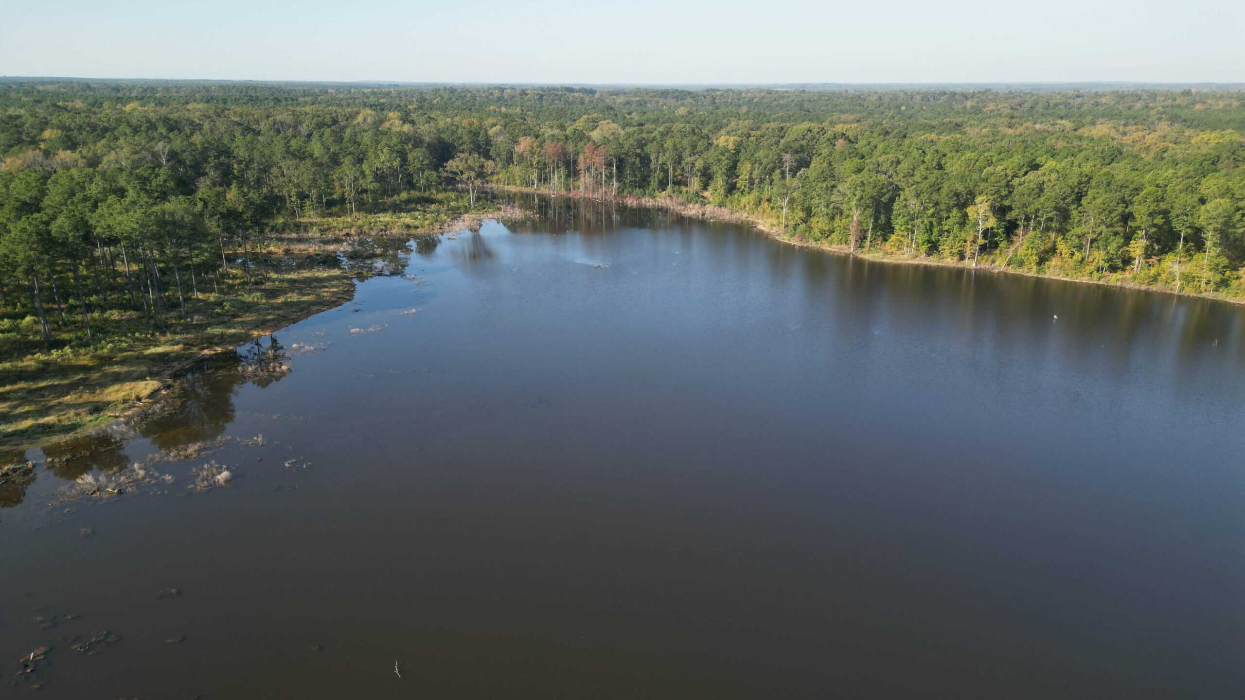 Texas Ranch For Sale With Private Lake In Cass County