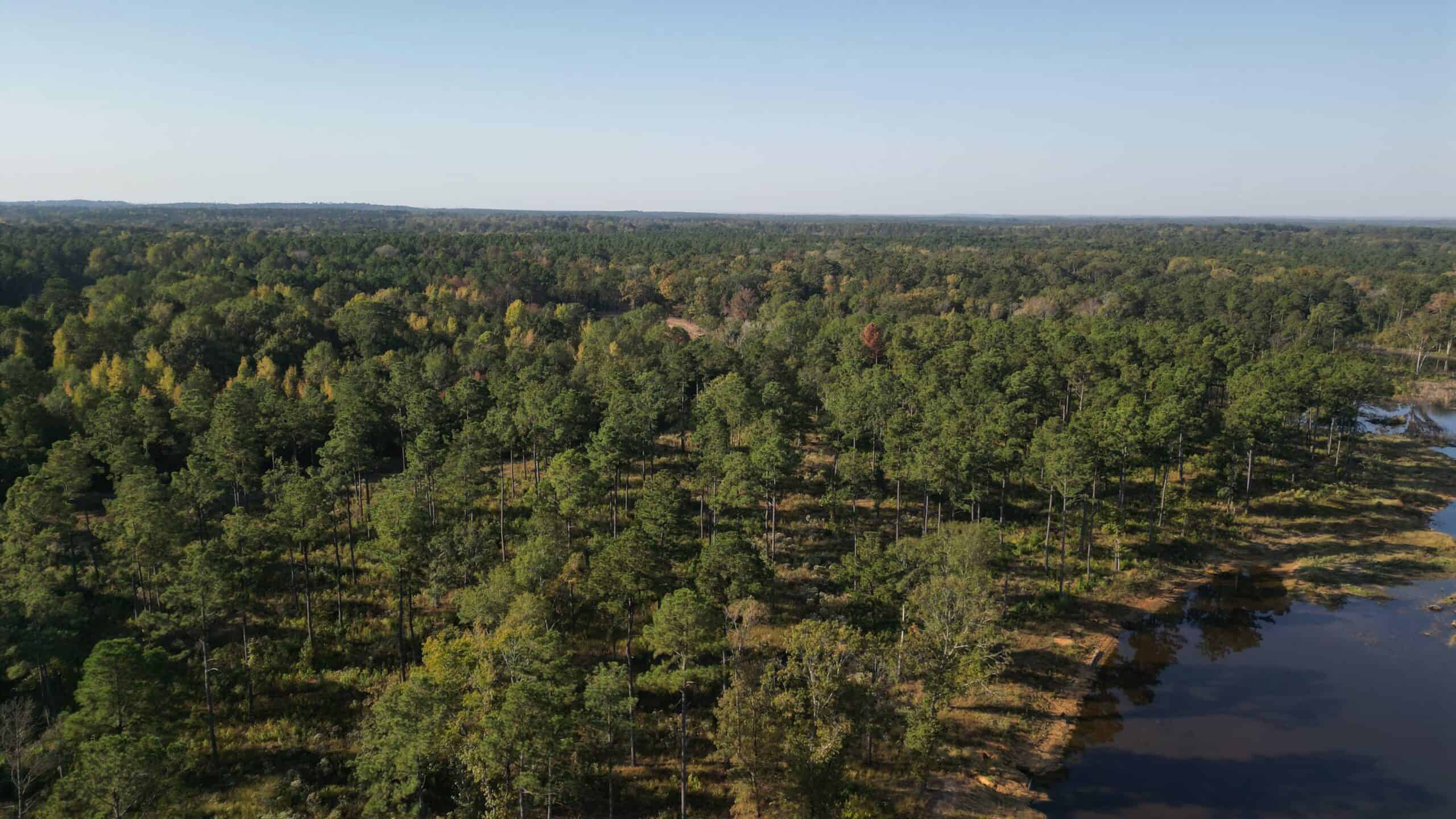 Texas Ranch For Sale With Private Lake In Cass County
