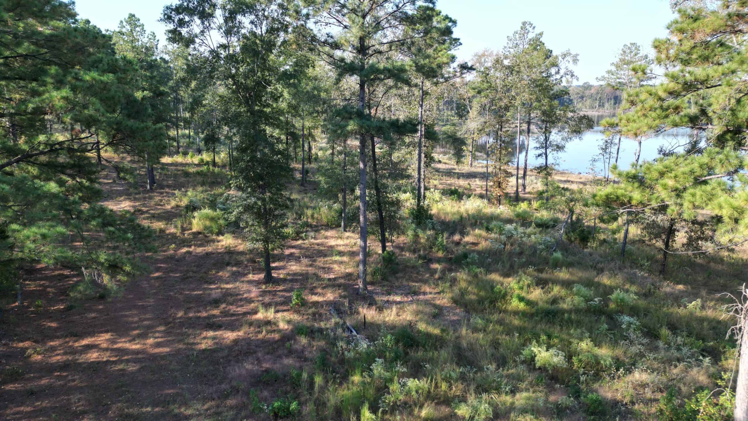 Texas Ranch For Sale With Private Lake In Cass County