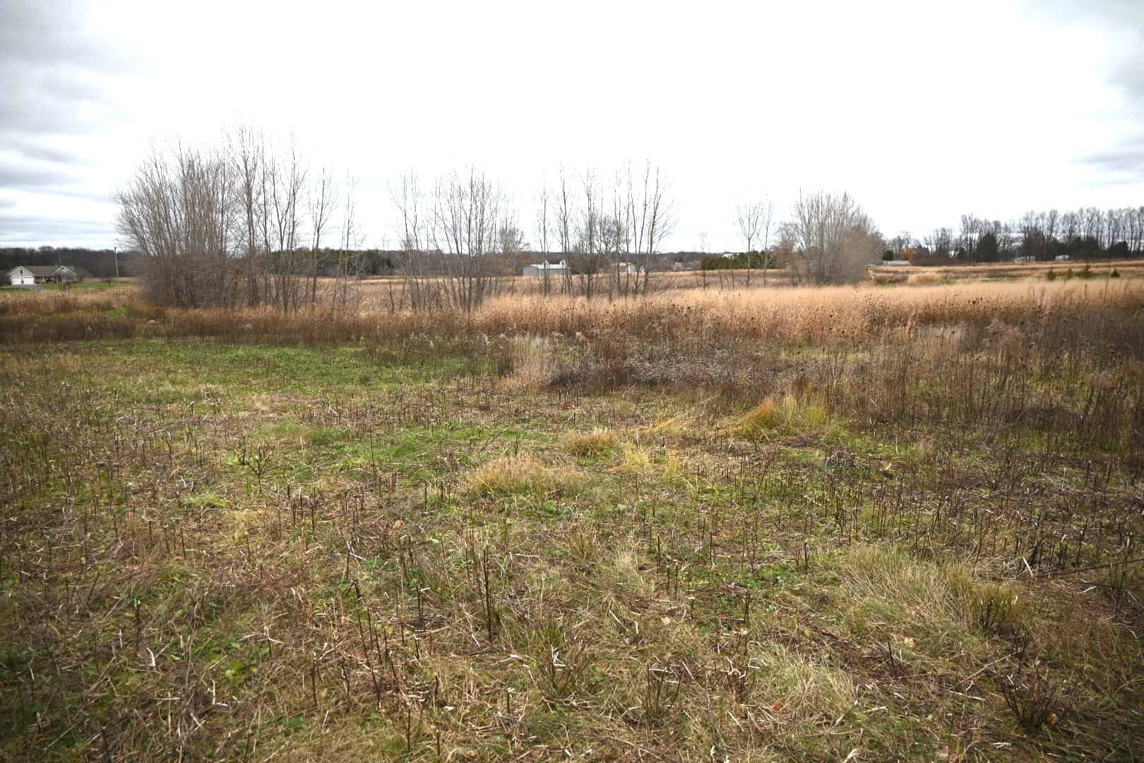 29 +/- Acres of Buildable Hunting Land Newaygo County MI