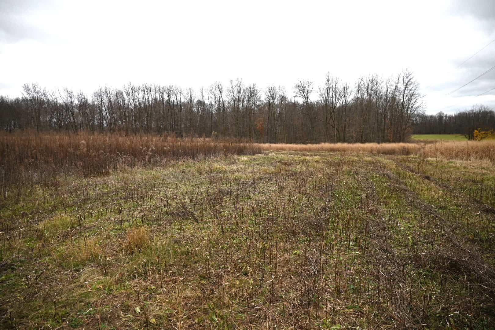 29 +/- Acres of Buildable Hunting Land Newaygo County MI