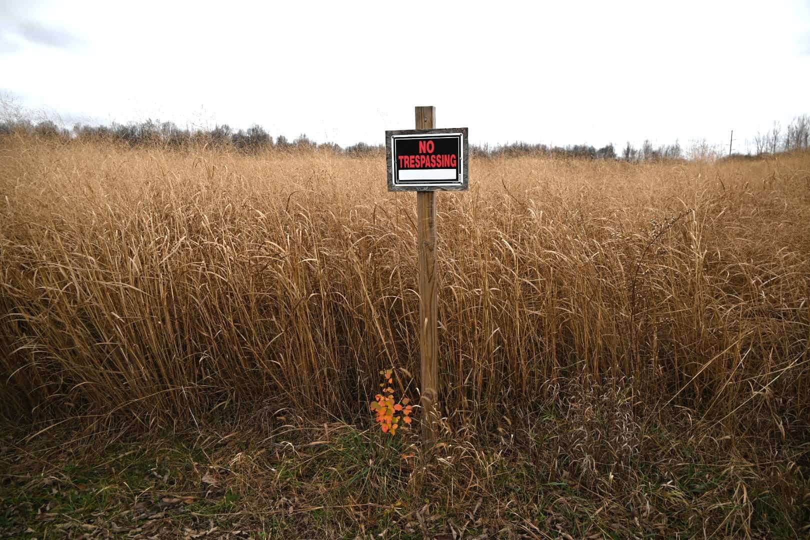 29 +/- Acres of Buildable Hunting Land Newaygo County MI