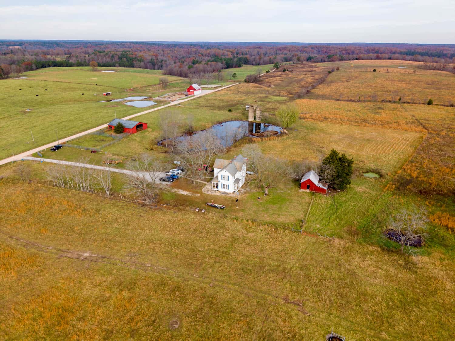Farm House and 81.49 m/l Acres in Shannon County Missouri