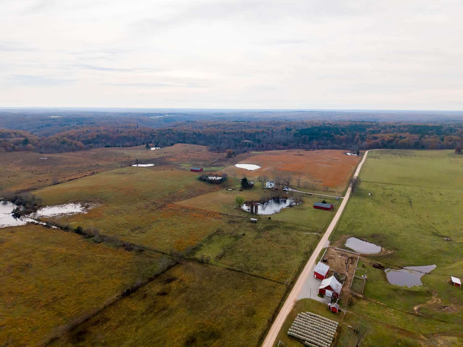 Farm House and 81.49 m/l Acres in Shannon County Missouri