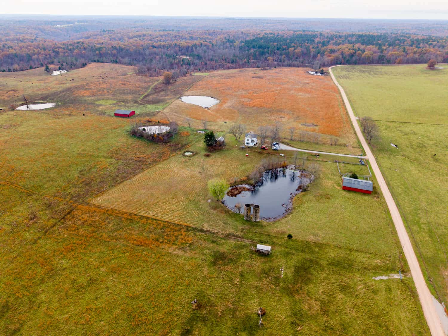 Farm House and 81.49 m/l Acres in Shannon County Missouri