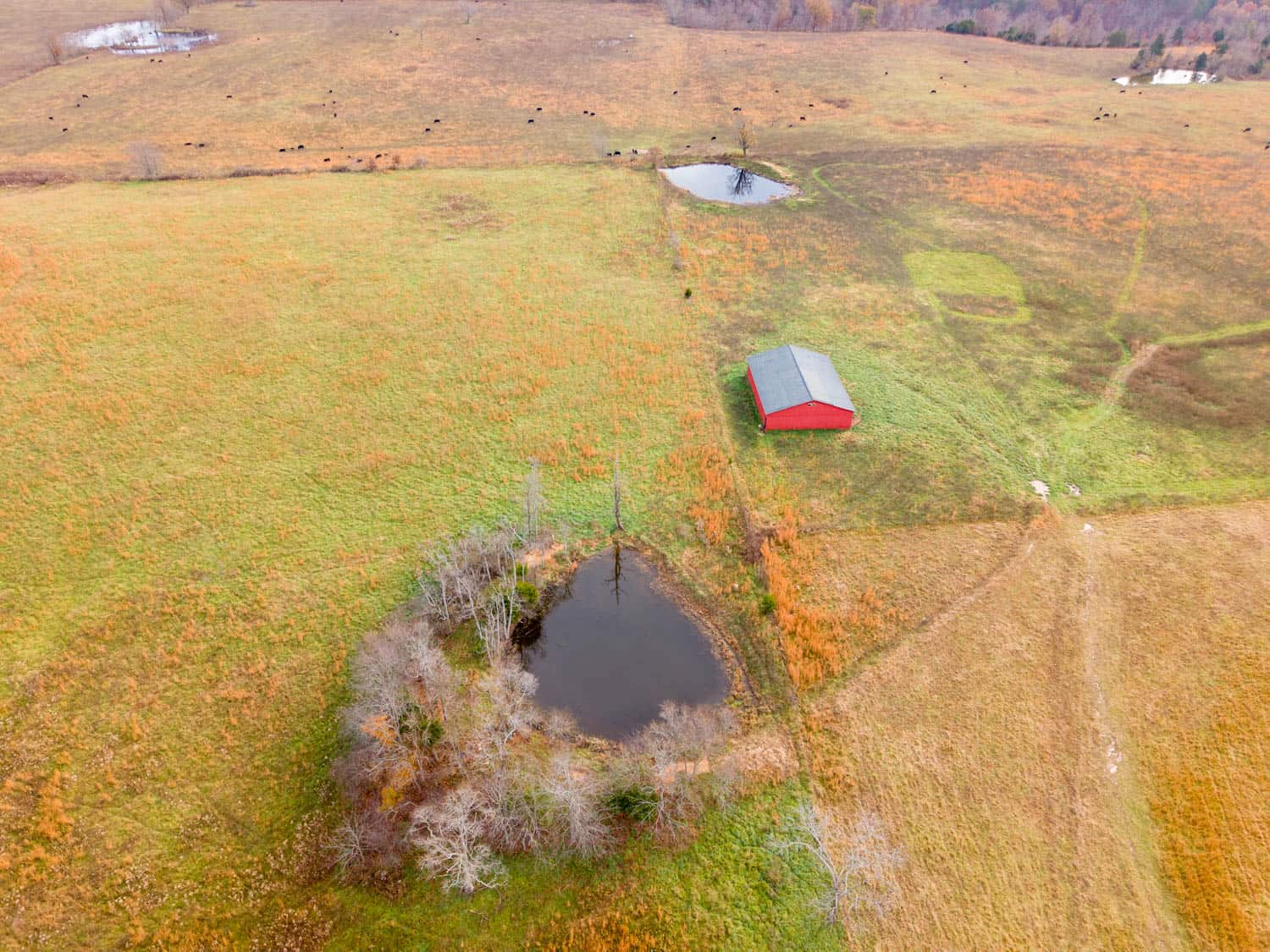 Farm House and 81.49 m/l Acres in Shannon County Missouri