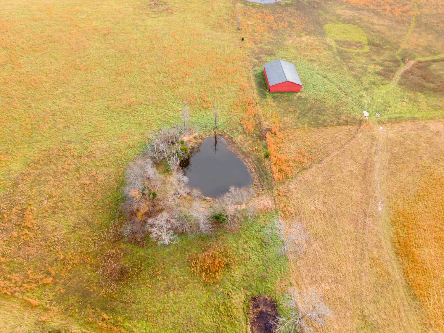 Farm House and 81.49 m/l Acres in Shannon County Missouri
