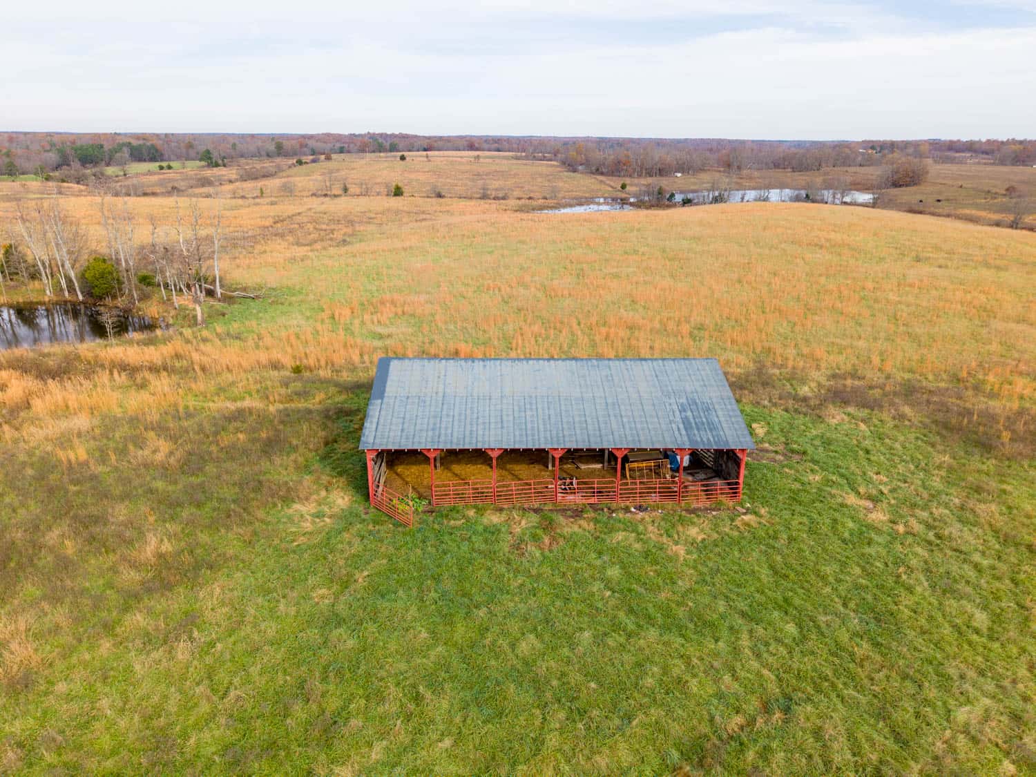 Farm House and 81.49 m/l Acres in Shannon County Missouri