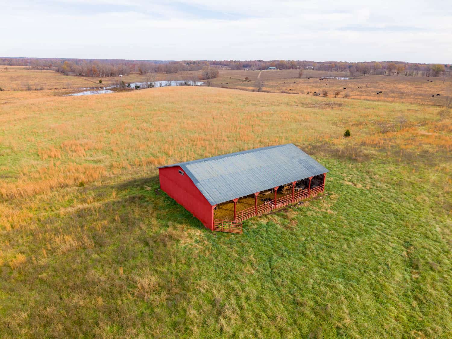 Farm House and 81.49 m/l Acres in Shannon County Missouri