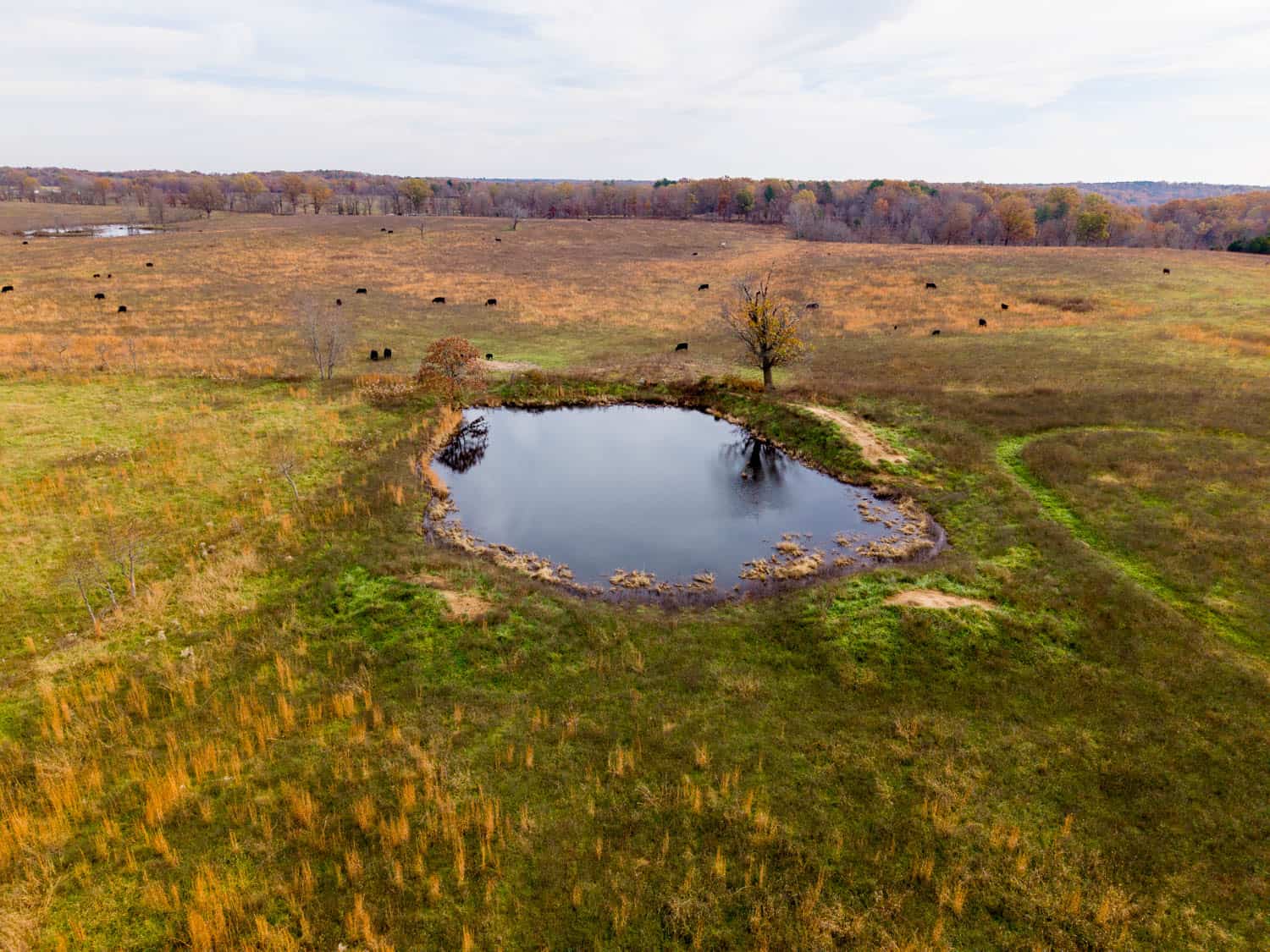 Farm House and 81.49 m/l Acres in Shannon County Missouri