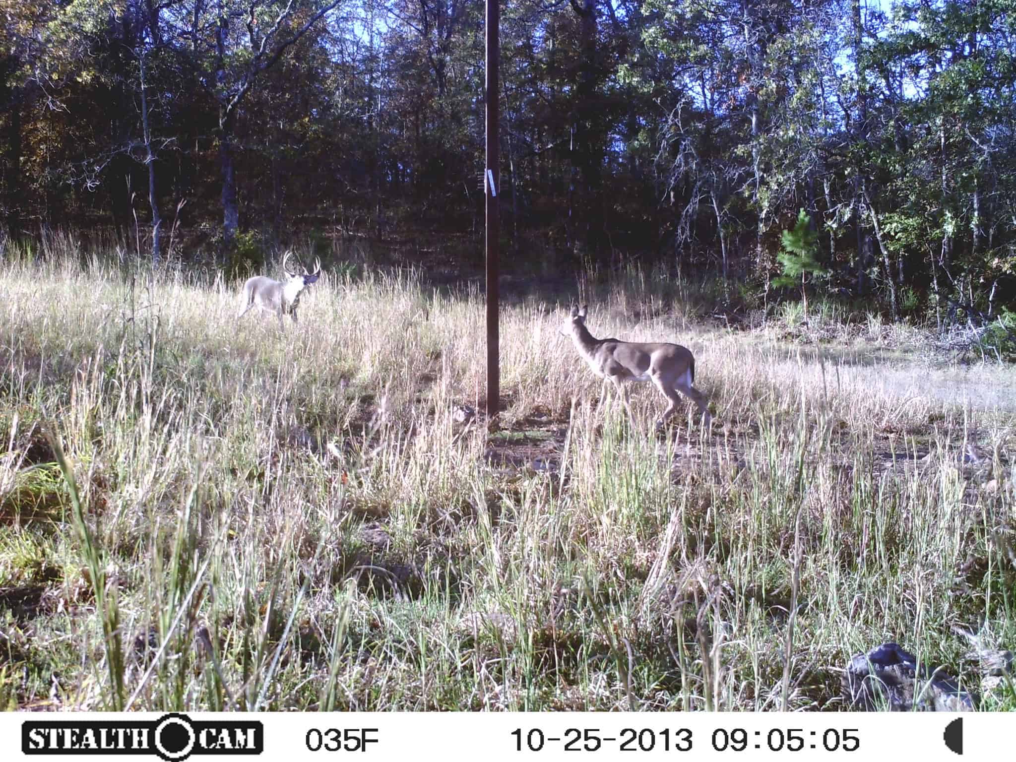 One of a kind Hunting Ranch Sequoyah County Oklahoma