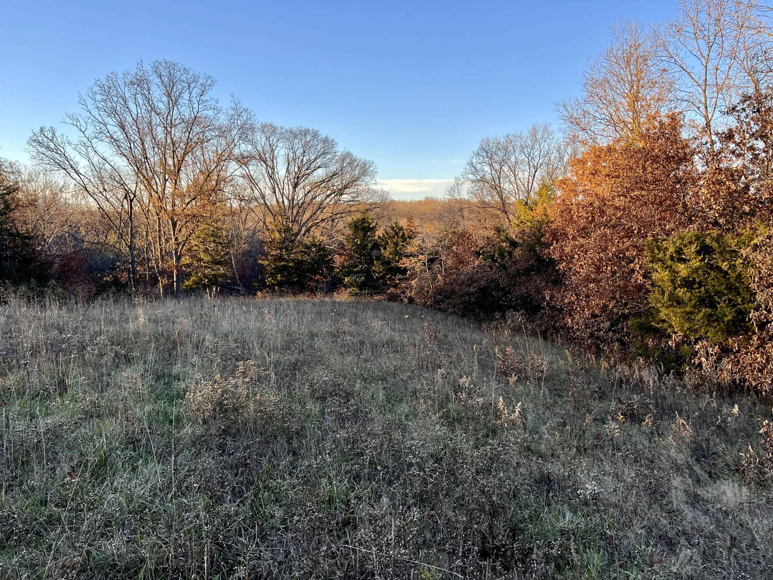 Appanoose County Wooded Recreational Property