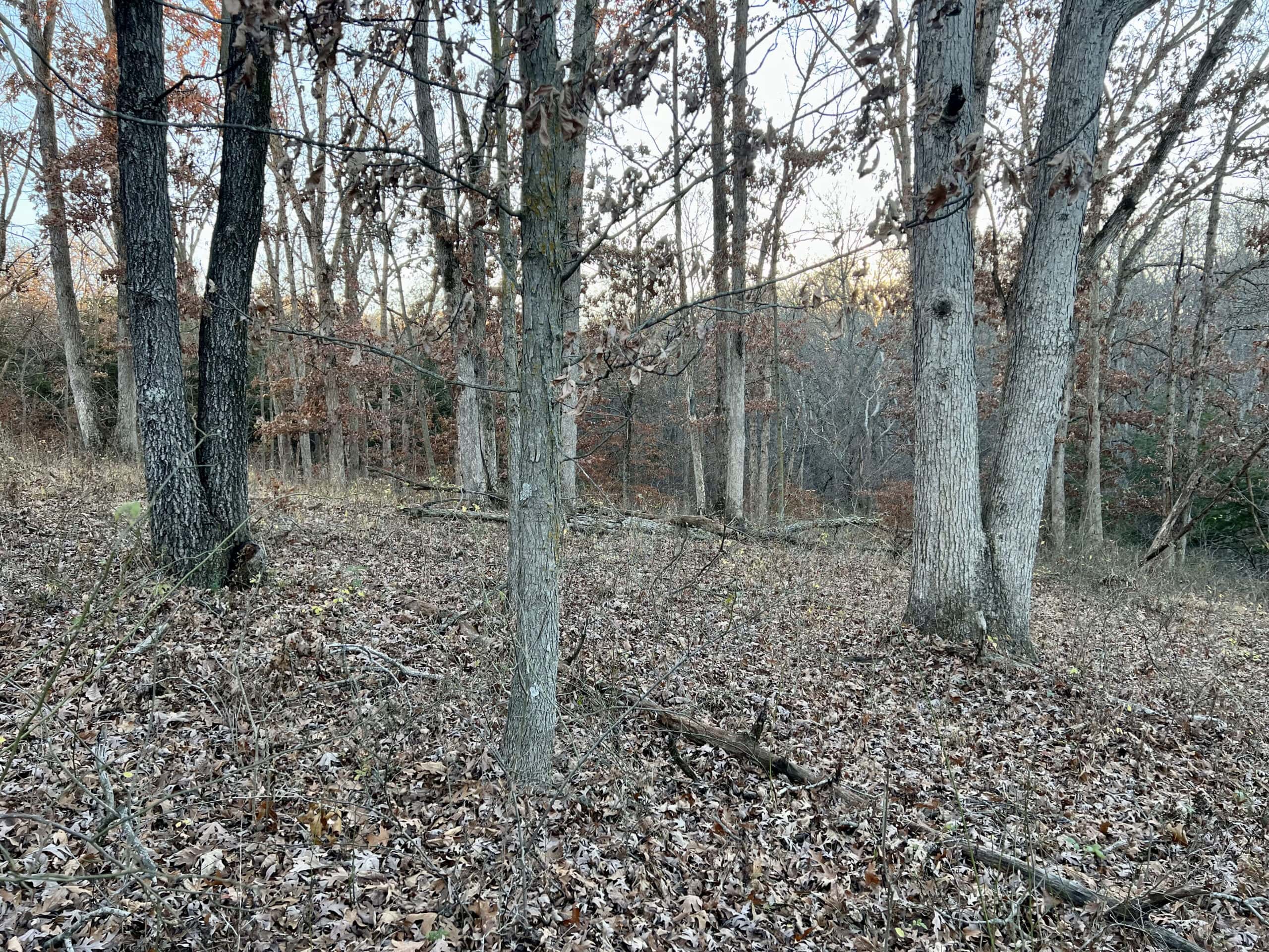 Appanoose County Wooded Recreational Property